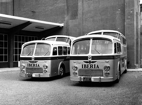 autobuses aeropuerto.jpg