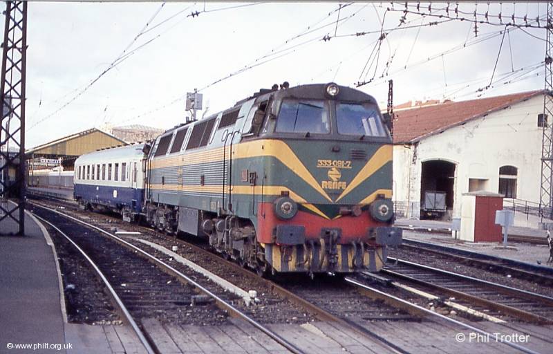 333 Pampilhosa.jpg