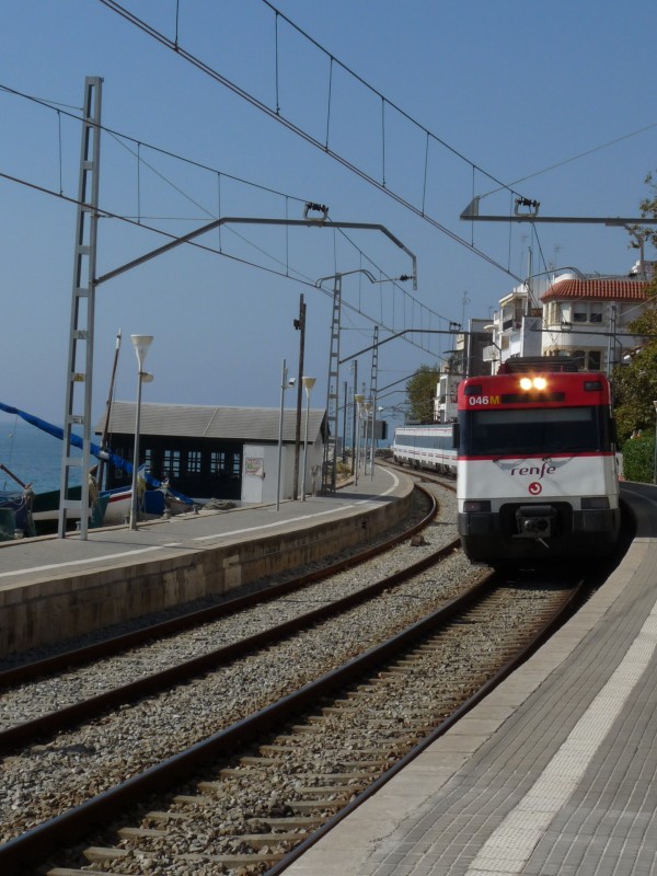 P1050007.JPG