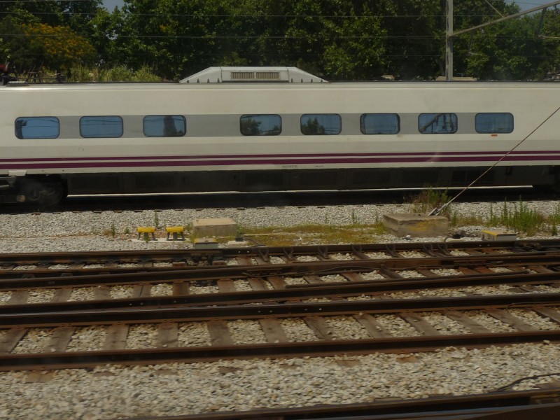 P1050875.JPG