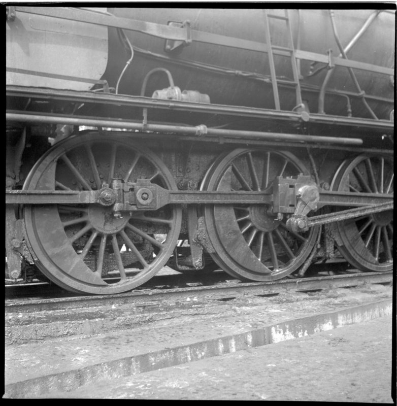 rf10158.jpg