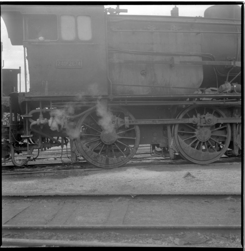 rf10159.jpg