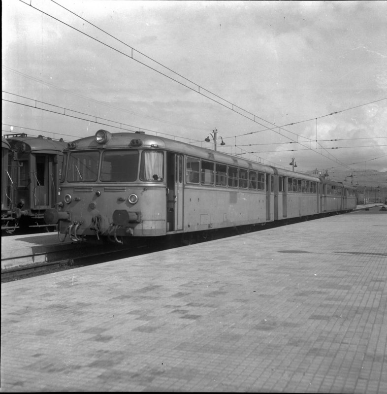 rf10161.jpg