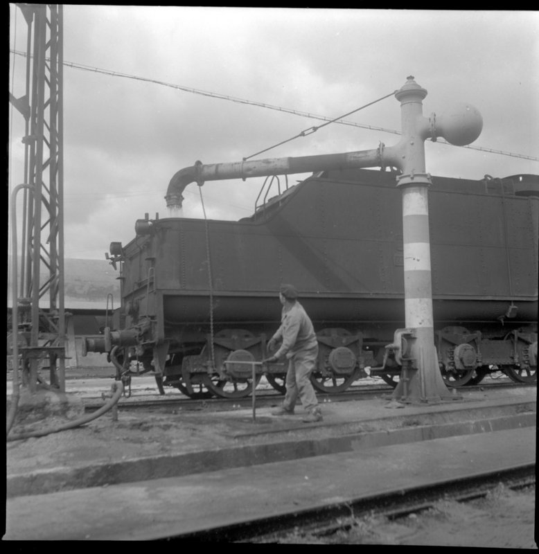 rf10162.jpg
