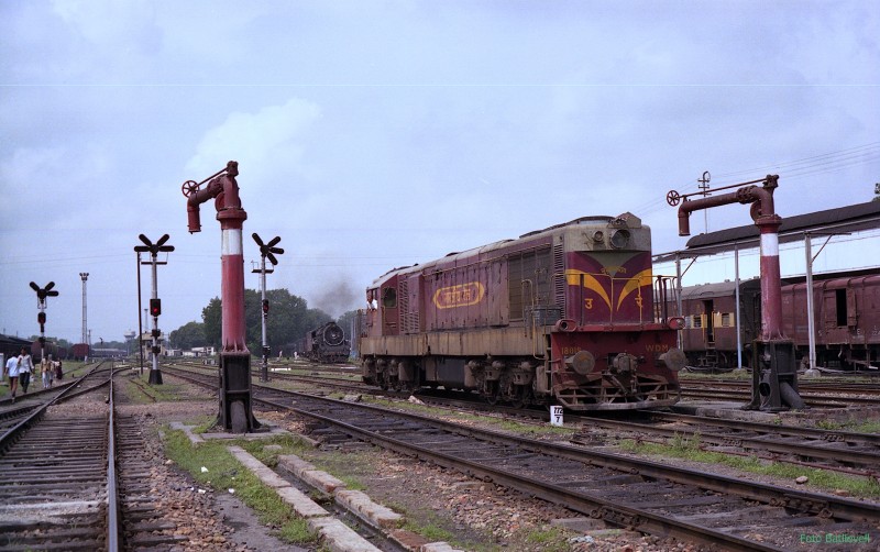 File0283.jpg