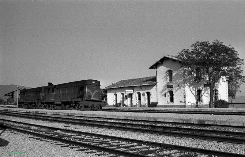 File0279.jpg