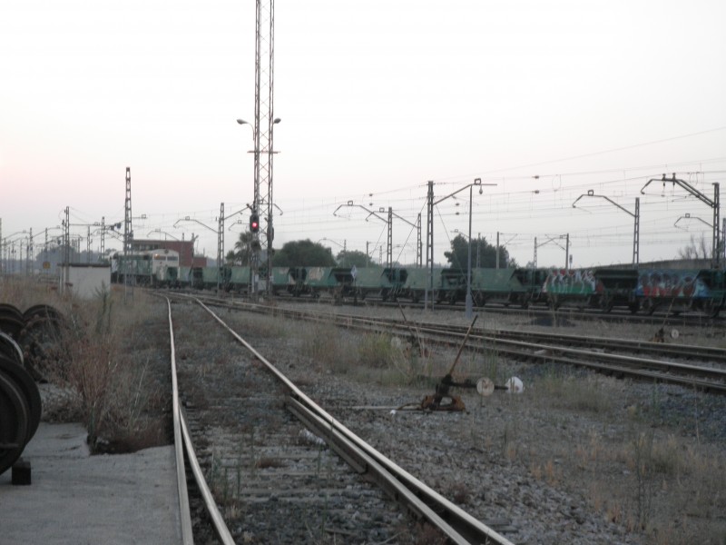 P7162188.JPG