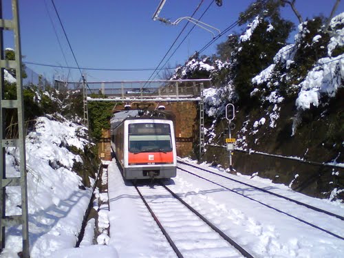 33709635.jpg