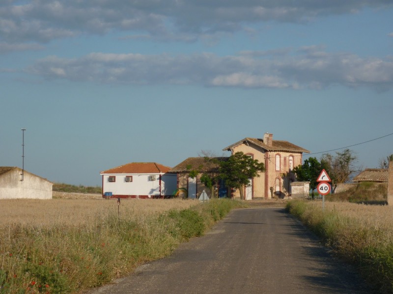 P1050251.JPG