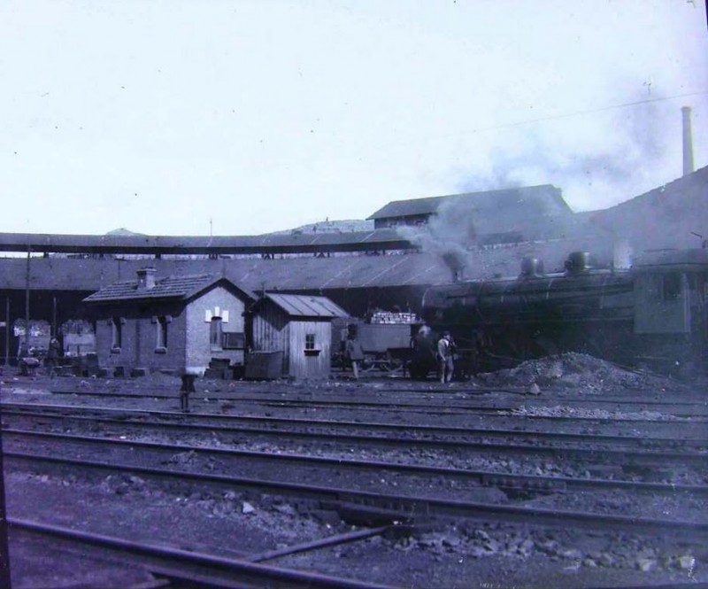 006 mikado norte.jpg