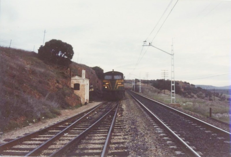 13507.jpg