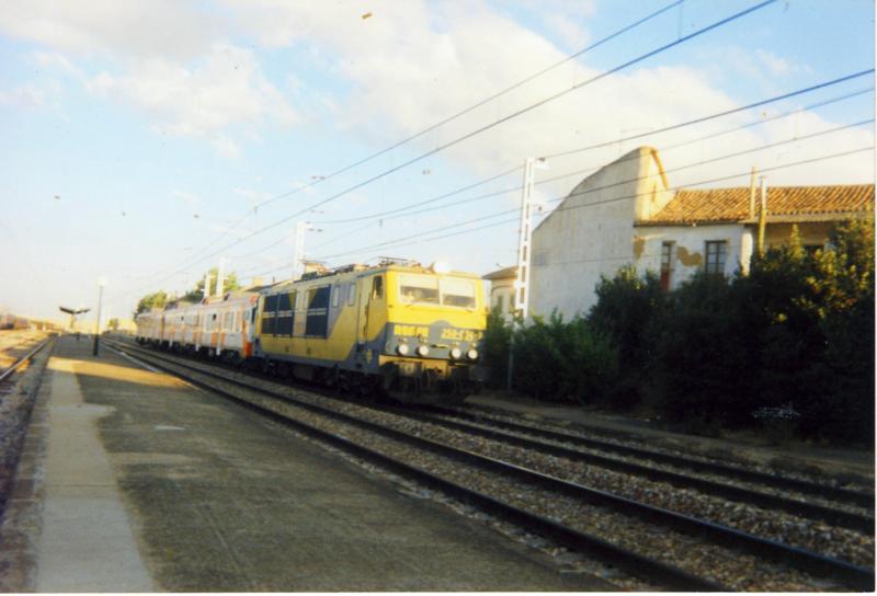 F00444e.jpg