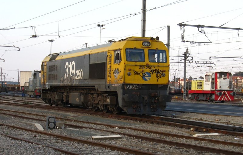 319.250 1.JPG