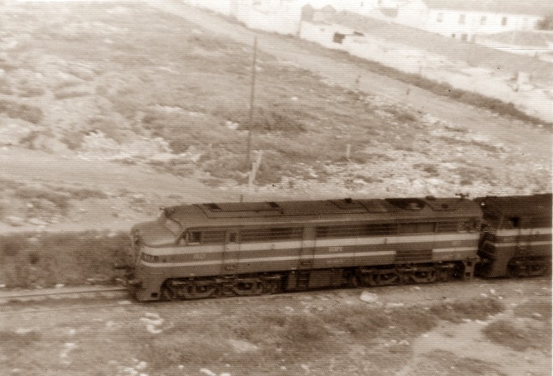 13558.jpg
