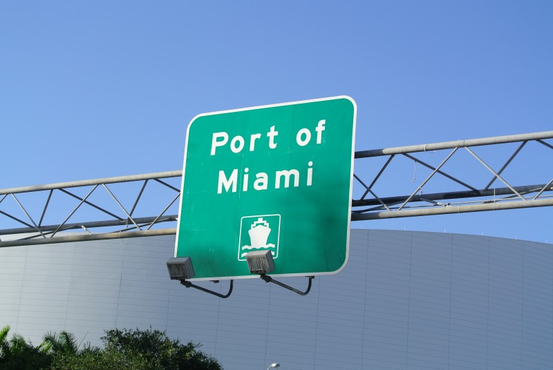 DSC_0803.JPG