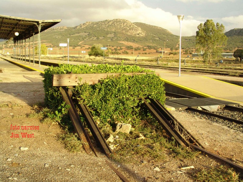 JWalmorchon02.jpg