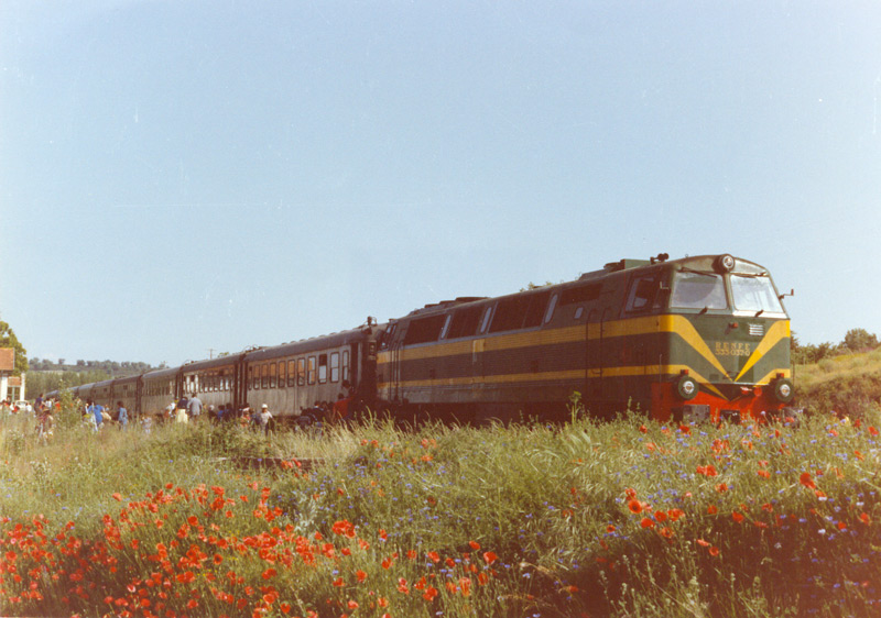 e87 Tren de excursión escolar Burgos-Cascajares y San Leonardo (S-M) formada por la 333-037 y 13 coches 5000s. Cascajares, mayo de 1984.jpg