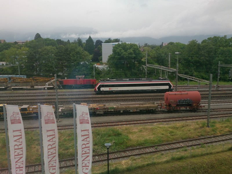 DSC_0017.jpg