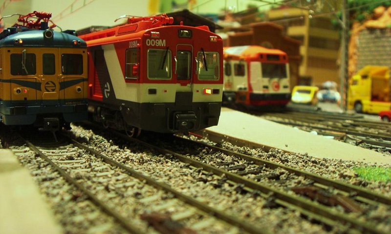 CIMG7163.JPG
