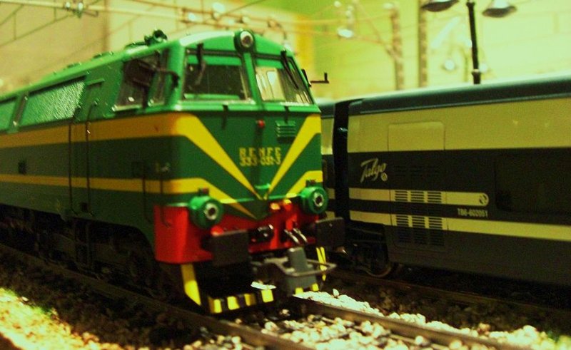CIMG7159.JPG