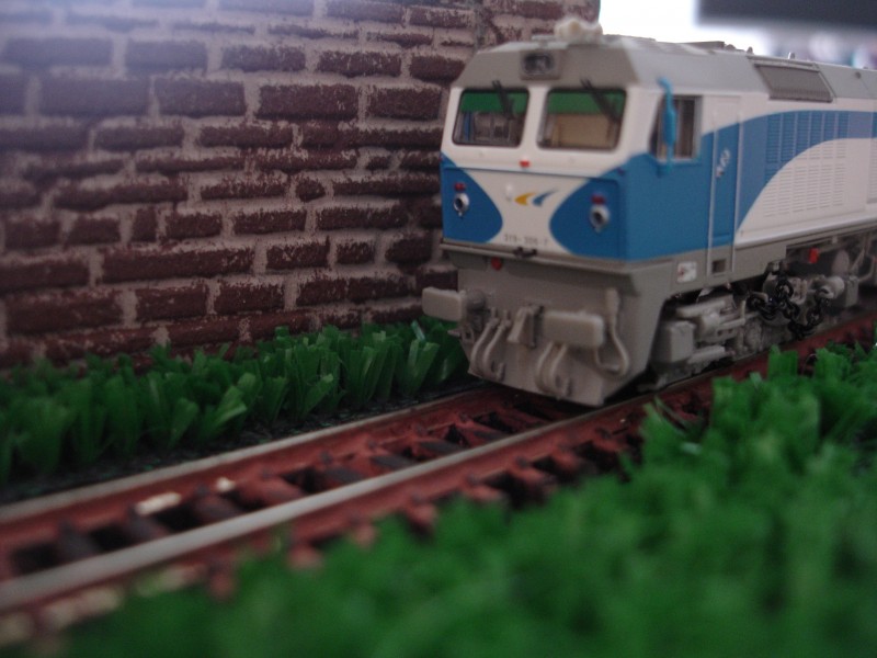 DSC04693.JPG