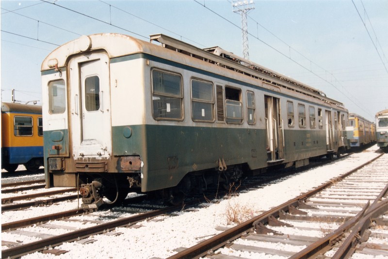 escanear0005.jpg