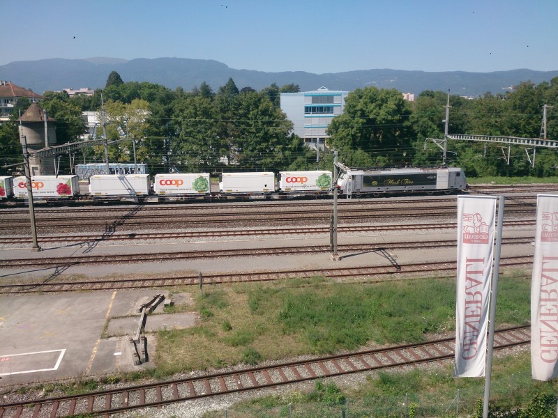 DSC_0011.jpg