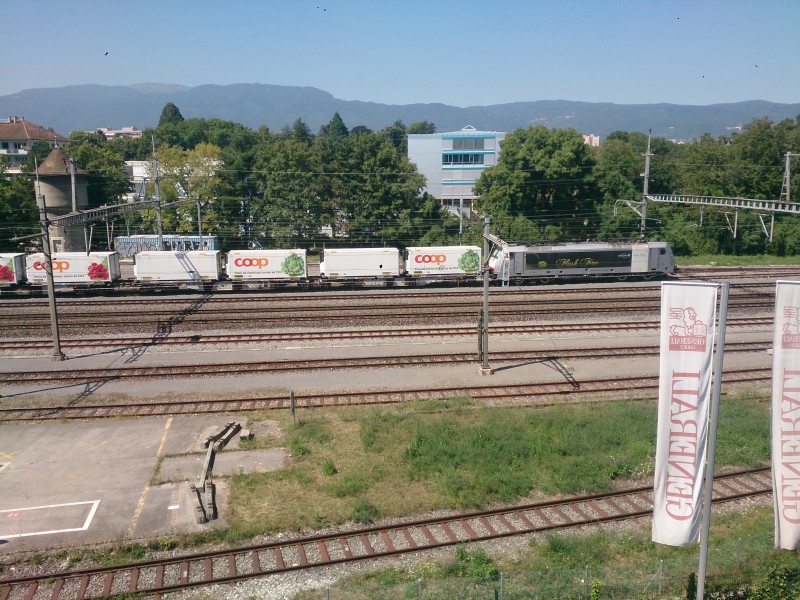 DSC_0012.jpg