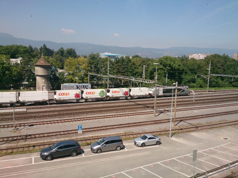 DSC_0008.jpg