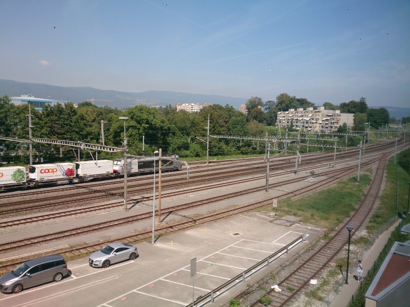 DSC_0010.jpg