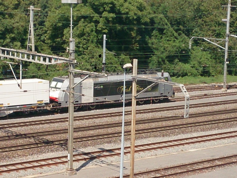 DSC_0011.jpg