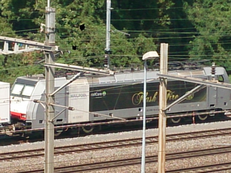DSC_0012.jpg