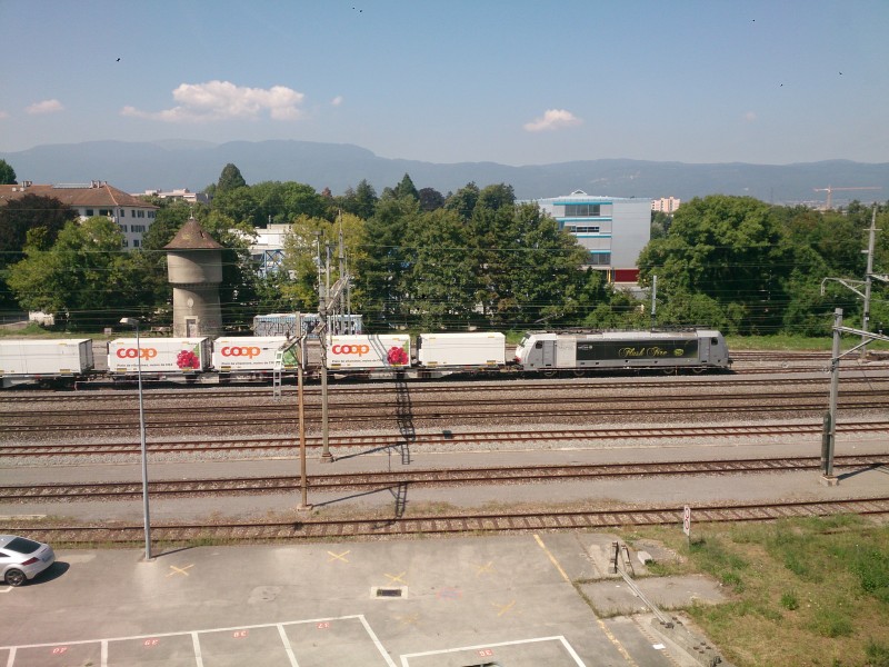 DSC_0013.jpg