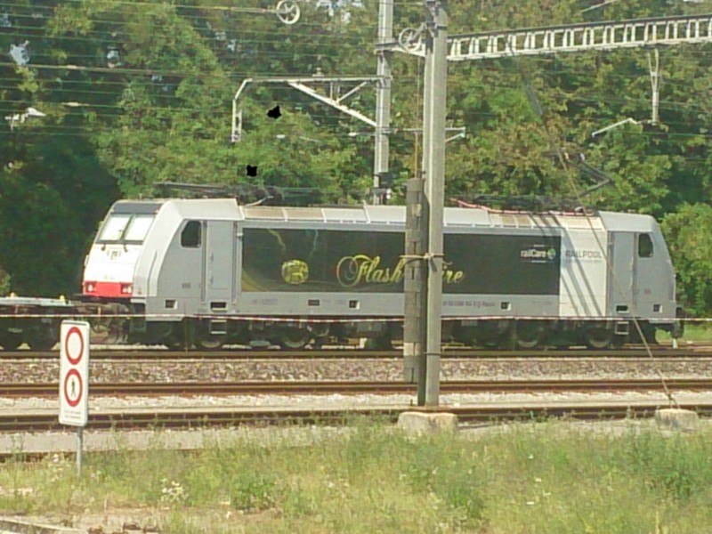 DSC_0008.jpg
