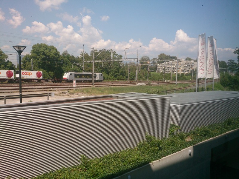 DSC_0010.jpg