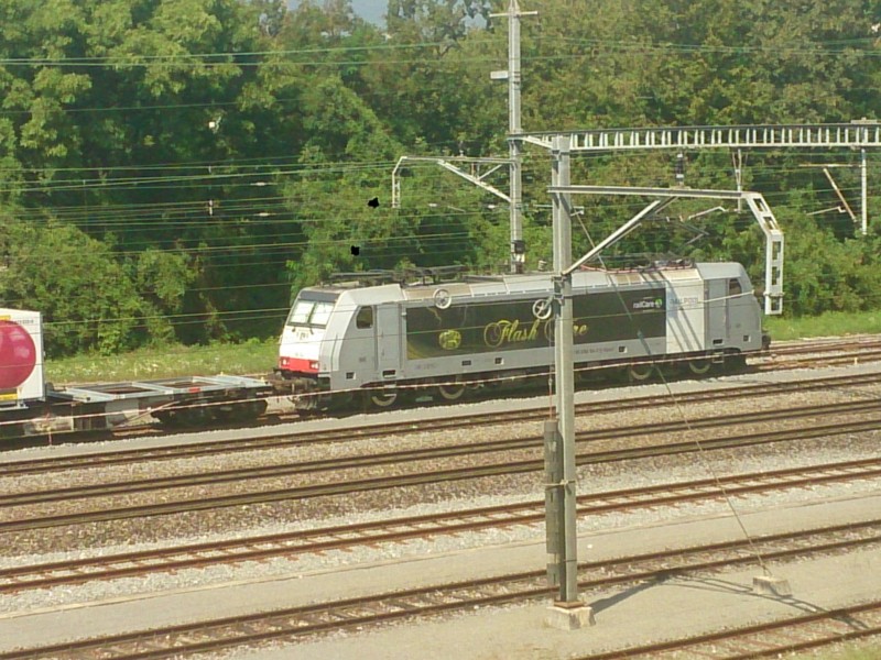 DSC_0013.jpg