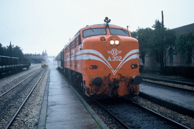 13687.jpg