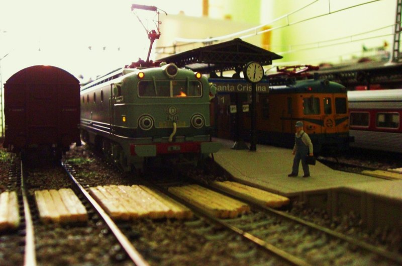 CIMG7170.JPG