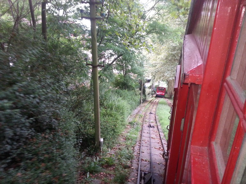 20130825_181501.jpg