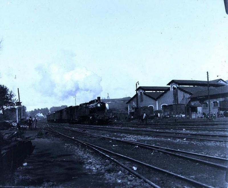 p.pio 242 t.jpg