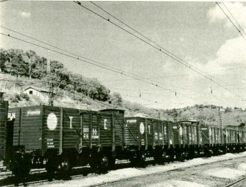 Xfhv-190328.JPG
