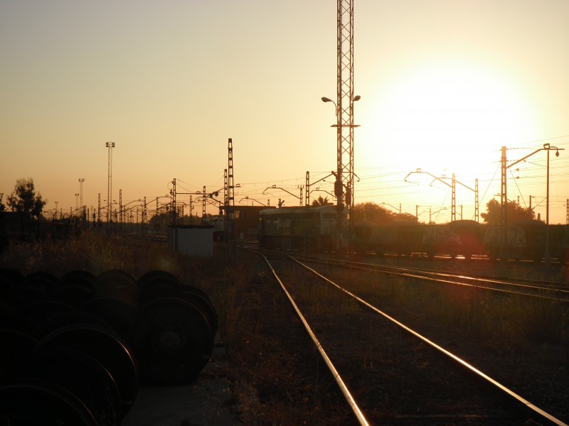 P9120461.JPG