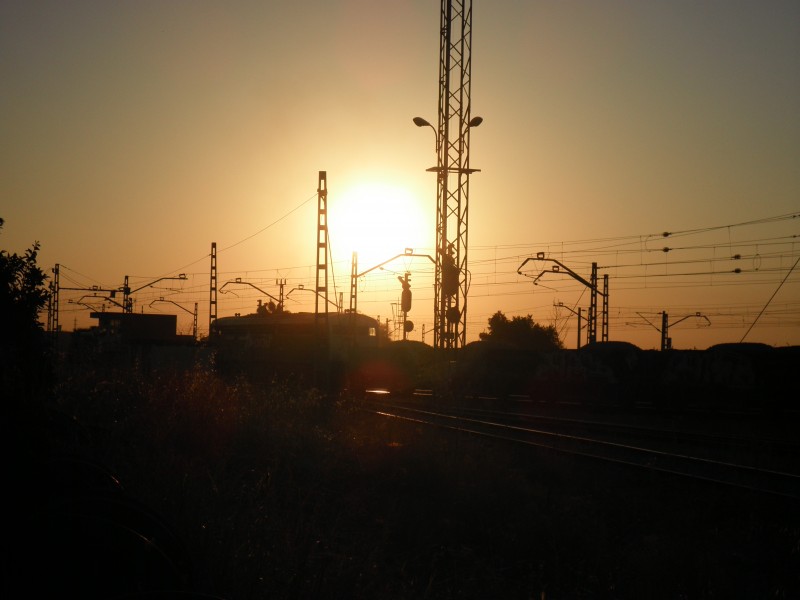P9120462.JPG