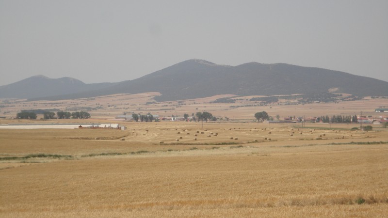 DSC09911.JPG