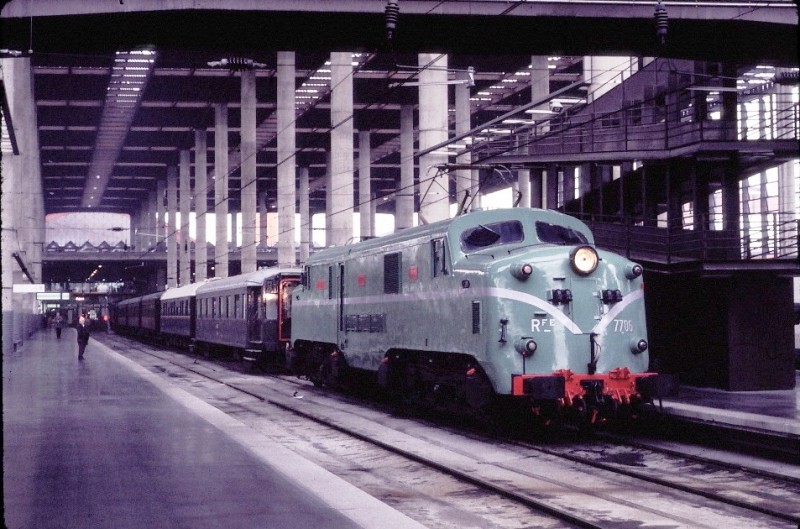 13644.jpg