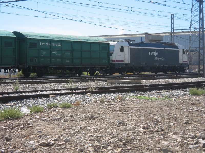 Azuqueca 253 20-09-13 006.JPG