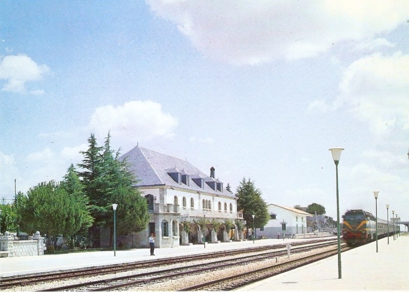 13790.JPG
