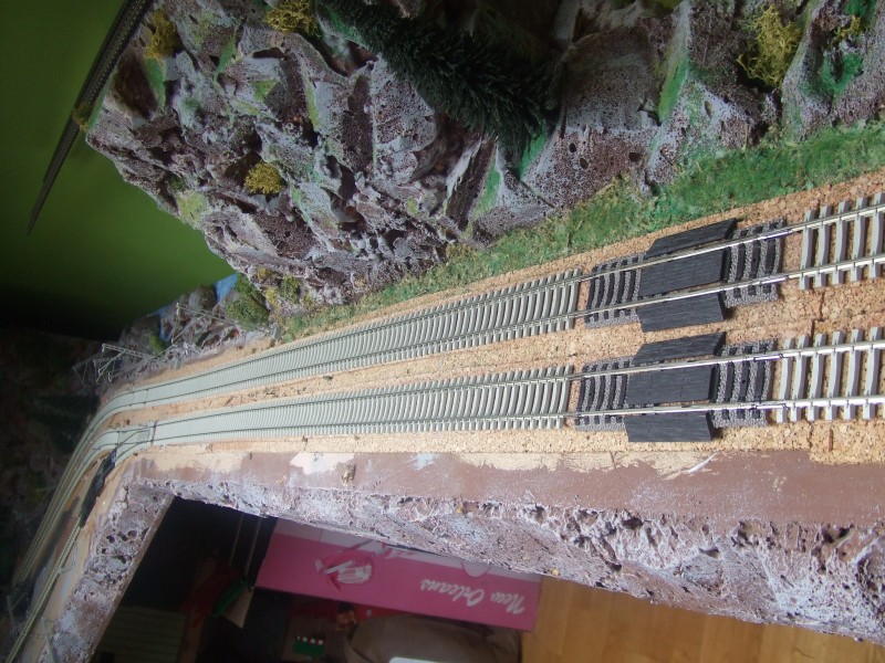 DSCF4972.JPG