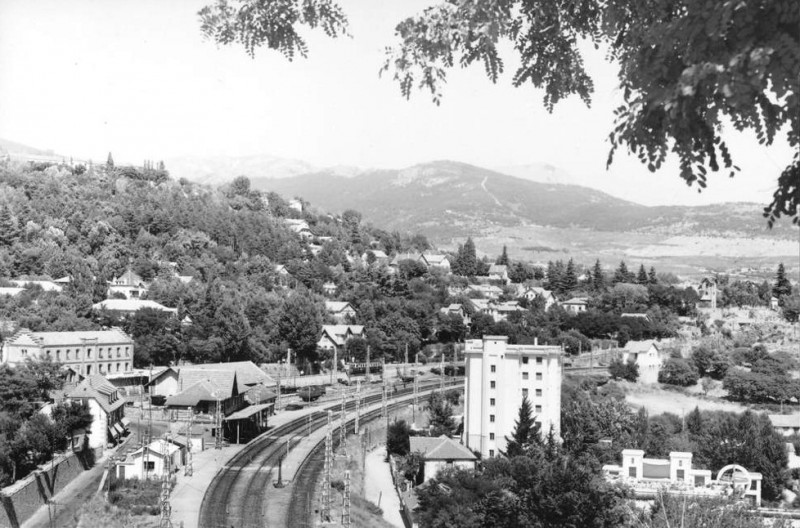 503_001.jpg