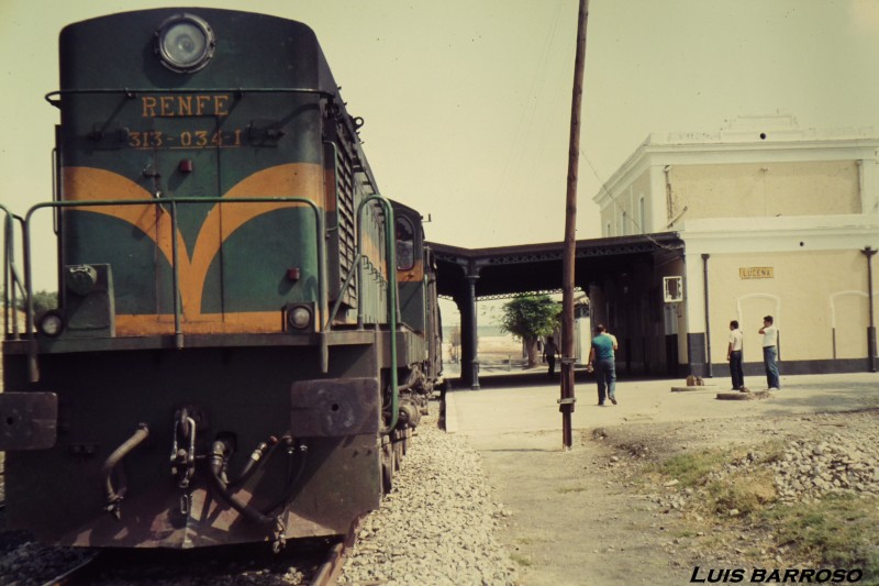 P1040647-firma.jpg